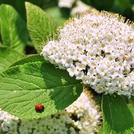 ウェンダー ホテル 3*